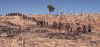water diviner3.jpg